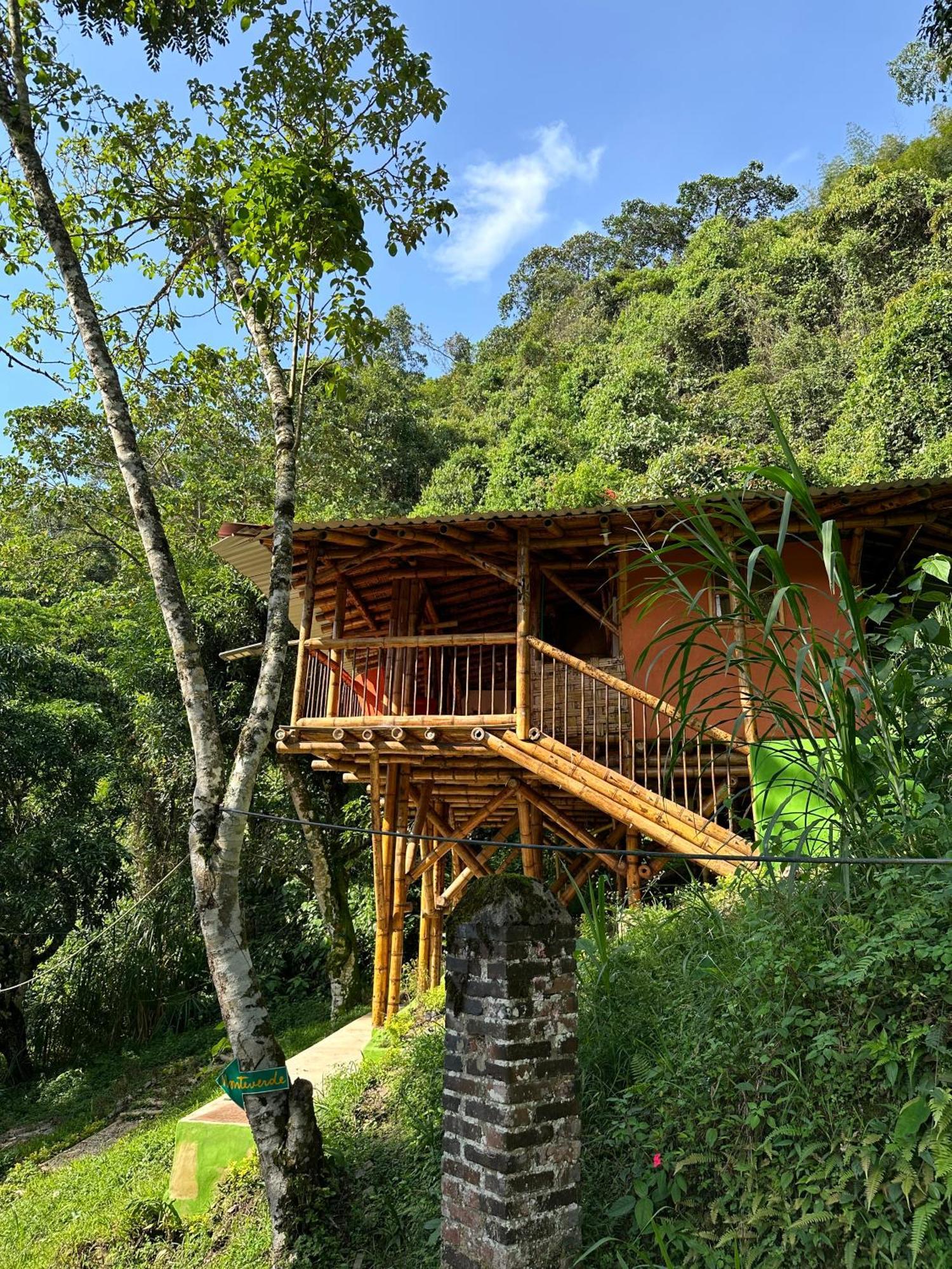 Ecohotel Monteverde La Vega  Exterior foto