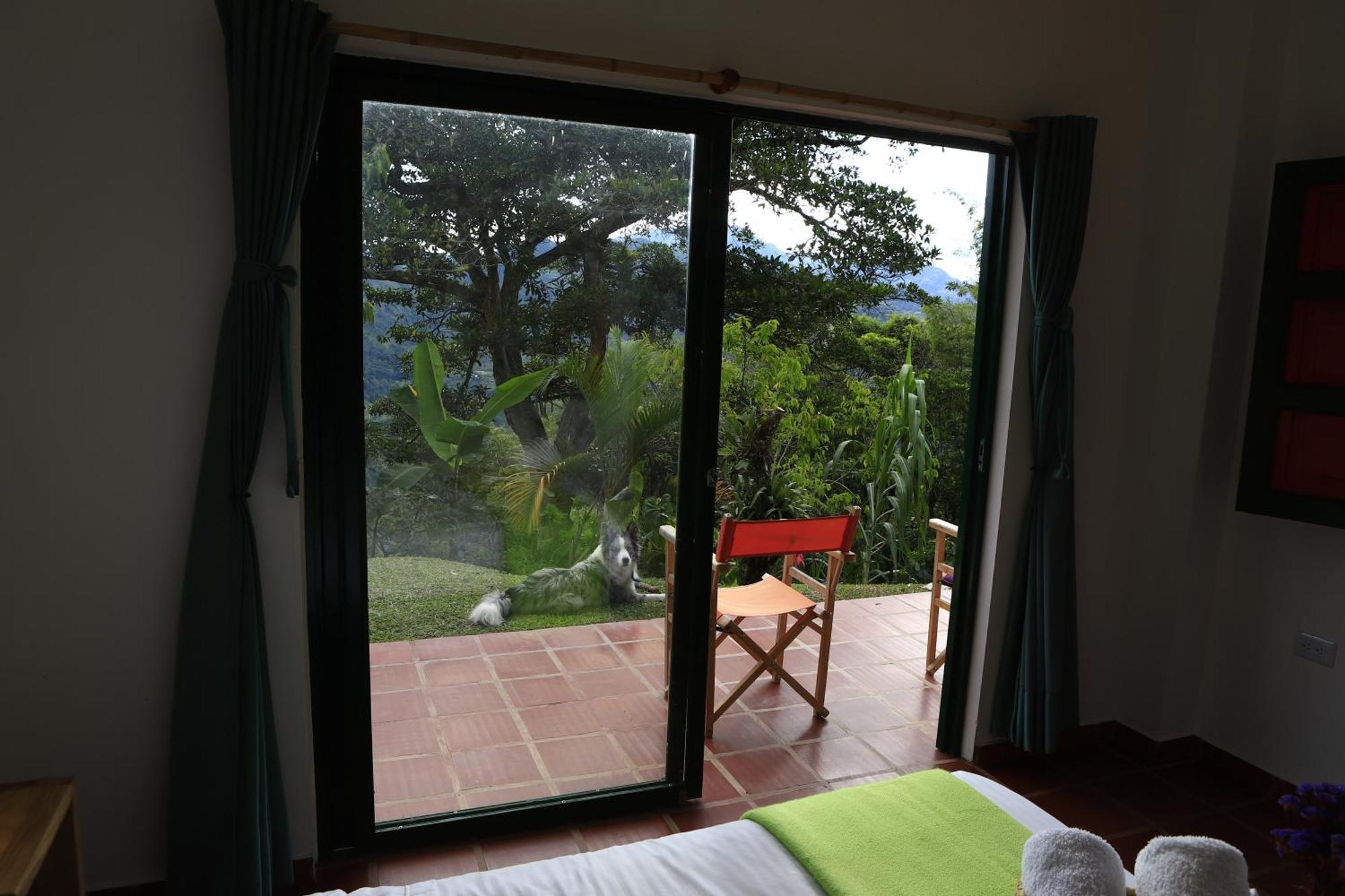 Ecohotel Monteverde La Vega  Exterior foto